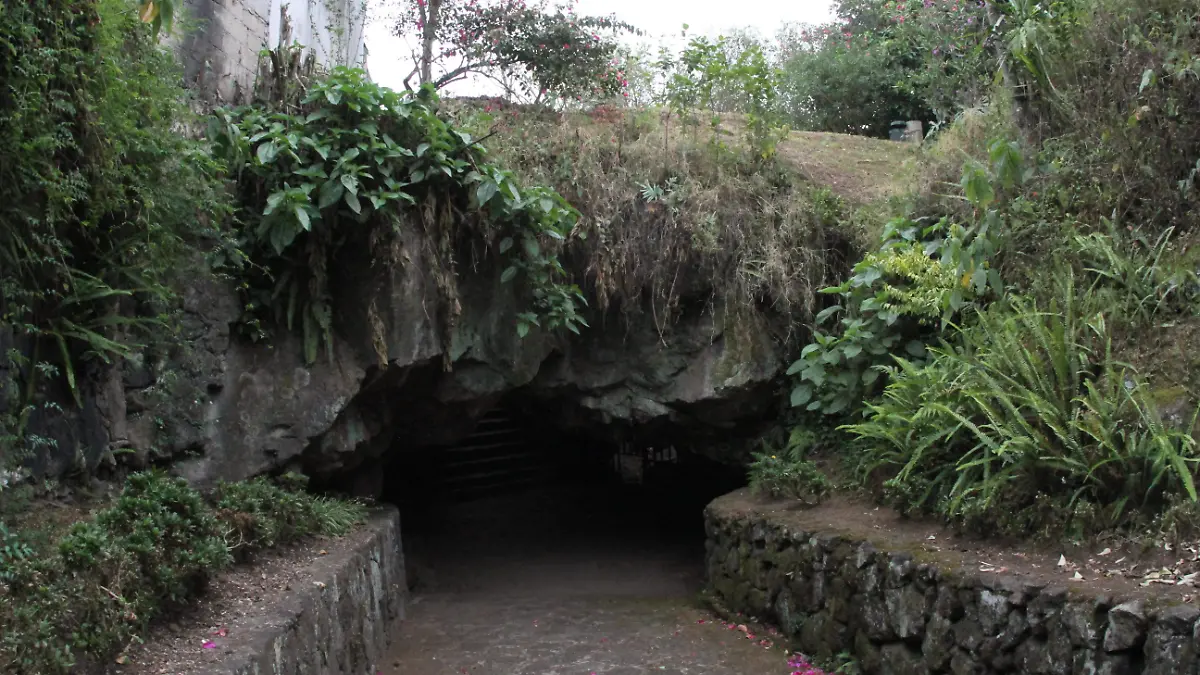 JE220420241144Cueva de la Orquidea